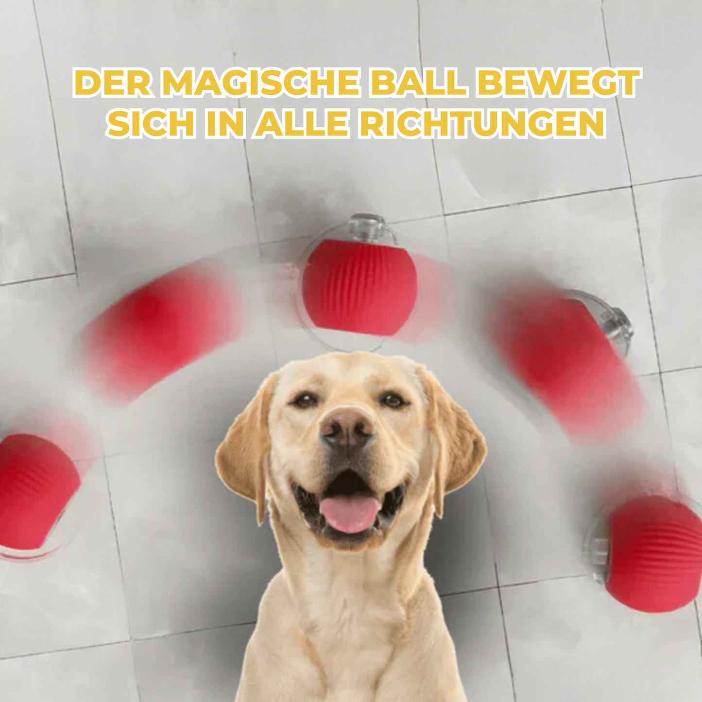 Magic Ball for Pets